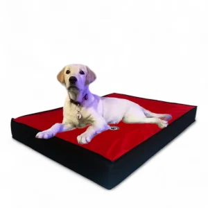 Colchoneta Para Perros Medianos y Grandes REF 10.0