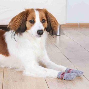 Calcetines Perro, Antideslizantes, XXS-XS, Gris-2uds