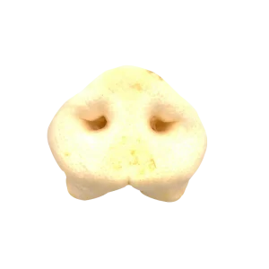 Nariz de Cerdo Hervida Bubimex Snack Natural para Perros